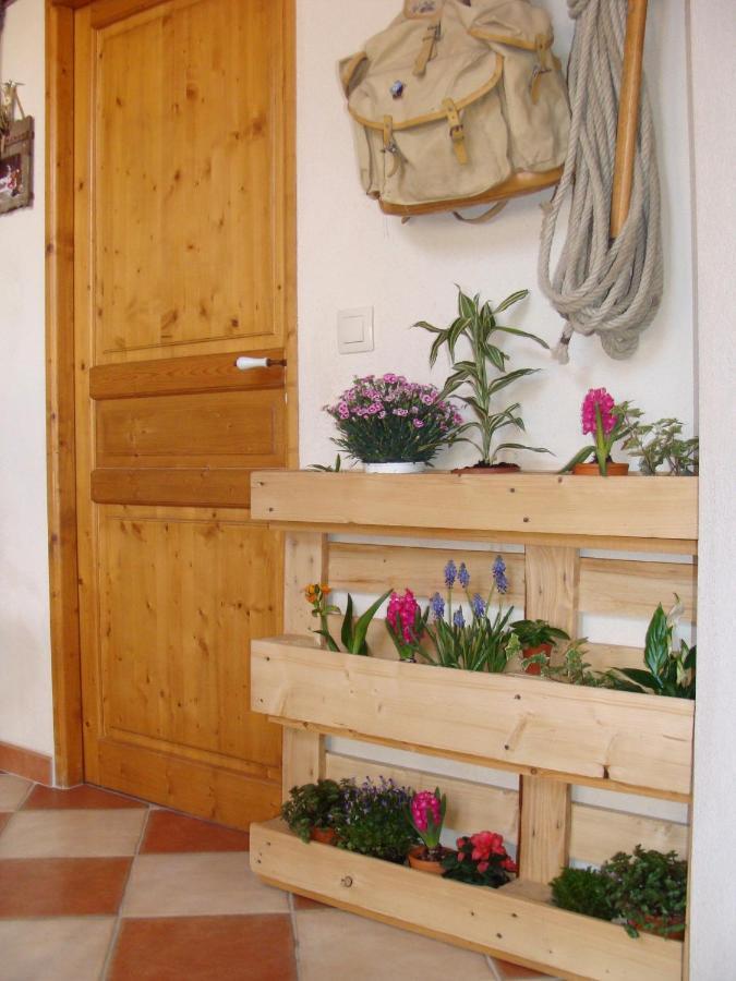 Stella Alpina Bed & Breakfast Rimplas Exterior photo